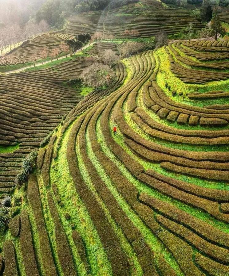 Cantinho Do Sonho Maia  المظهر الخارجي الصورة